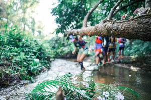 BIB: 
                            <button type="button" onclick="openModal(25450191)" class="btn btn-primary btn-sm float-right btn-popup" data-toggle="modal" data-target=".modal-high-quality">
                        <i class="fas fa-shopping-cart"></i> Add to Cart
                    </button>
                                            <button type="button" onclick="isThisMe(25450191, true)" class="btn btn-success btn-sm float-right btn-popup btn-isme hidden" data-toggle="tooltip" data-placement="bottom" title="นี่คือรูปของคุณใช่ไหม คลิกที่นี่เพื่อเอาเข้าอัลบั้ม">
                        <i class="fas fa-plus"></i> Add to album
                    </button>
                    <button type="button" onclick="isThisMe(25450191, false)" class="btn btn-warning btn-sm float-right btn-popup btn-isnotme hidden">
                        <i class="fas fa-ban"></i> Remove from album
                    </button>